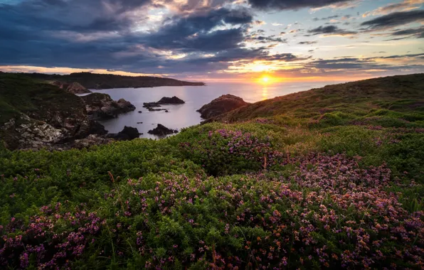 Picture sea, sunset, flowers, rocks, coast, Spain, Spain, Asturias, Asturias, The Bay of Biscay, Bay of …