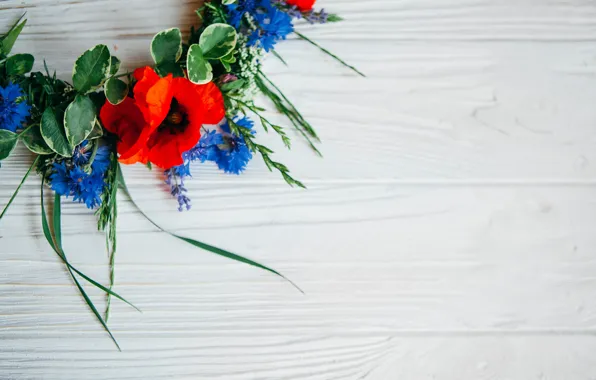 Picture flowers, Maki, colorful, summer, wreath, wood, flowers