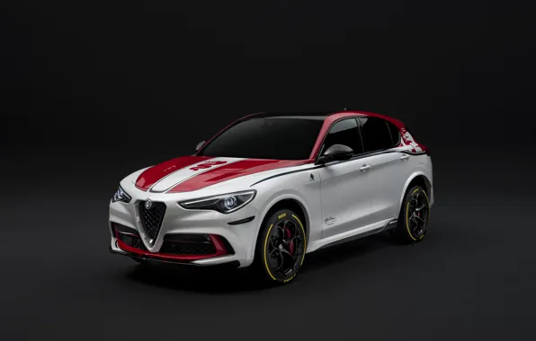 Picture tuning, Alfa Romeo, Racing, 2019-20, Stelvio Four-Leaf Clover