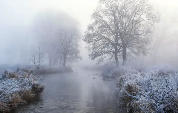 Picture winter, fog, river