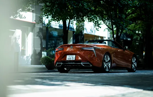 Picture trees, street, Lexus, convertible, 2021, LC 500 Convertible
