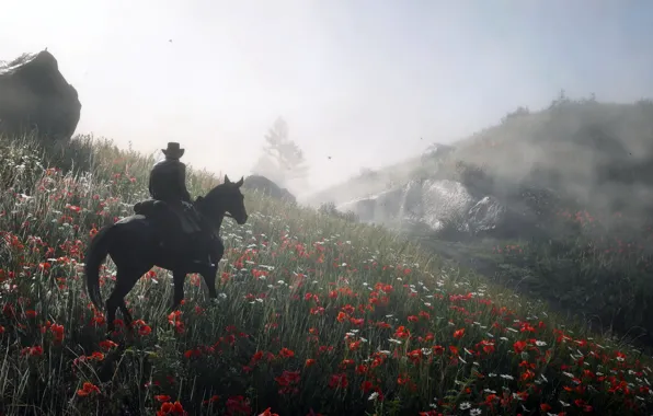Picture background, the game, Red Dead Redemption II