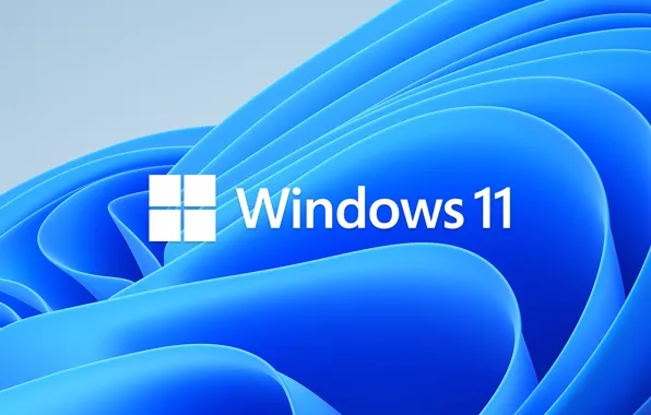Picture Microsoft, Operating system, Windows 11