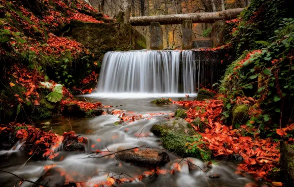 Picture autumn, rocks, foliage, waterfall