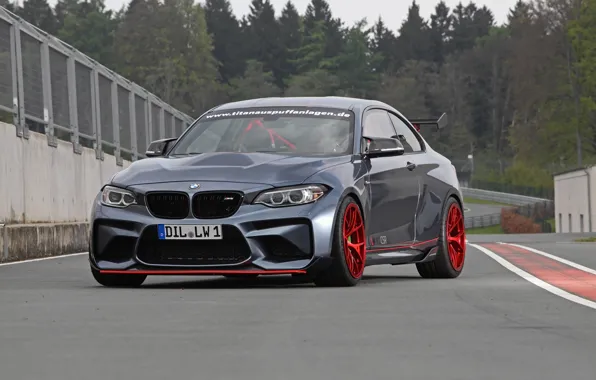 Picture BMW, Grey, Lightweight Performance, M2 CSR