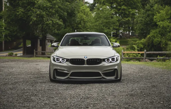Picture BMW, Front, Face, F82, Forest