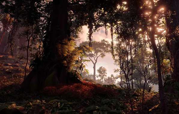 Picture trees, Sony Interactive Entertainment, Horizon Zero Dawn, Action/RPG
