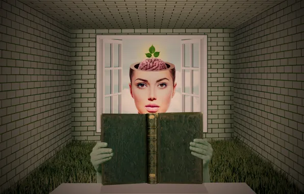 Picture girl, book, brain