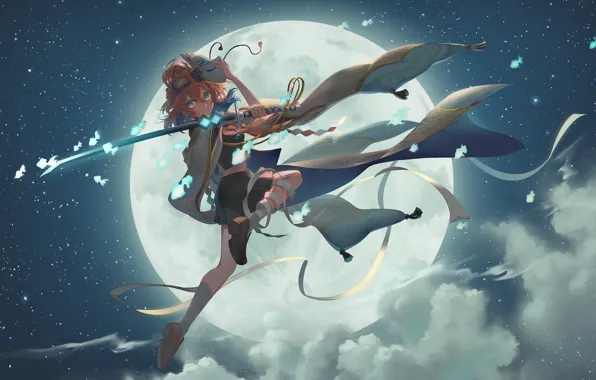 Picture the sky, girl, fish, night, the moon, sword