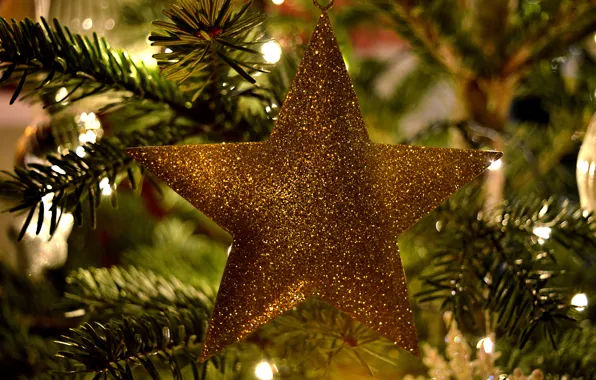 Picture holiday, star, Christmas, New year, needles, Christmas decorations, новогодние декорации