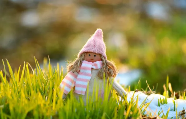Picture grass, toy, doll, girl, doll