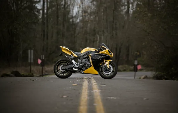Picture Yamaha, Yellow, YZF-R1