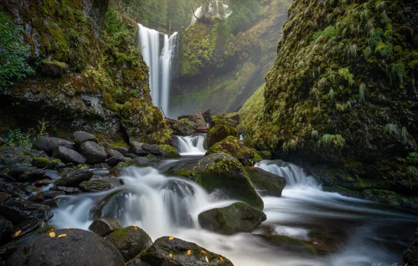 Picture stream, stones, rocks, waterfall, moss, Falls Creek Falls, Falls Creek, Gifford Pinchot National Forest, Washington …