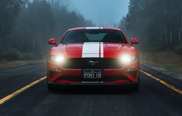 Picture Ford, front view, Fastback, 2018, Mustang GT