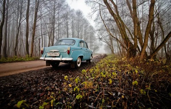 Picture forest, retro, fog, ussr, Moskvich
