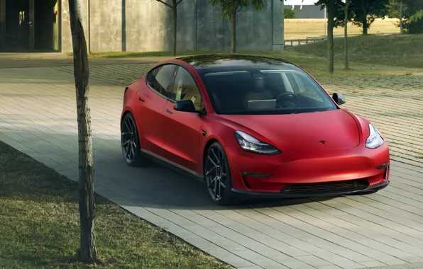 Picture Tesla, Novitec, Model 3, 2019
