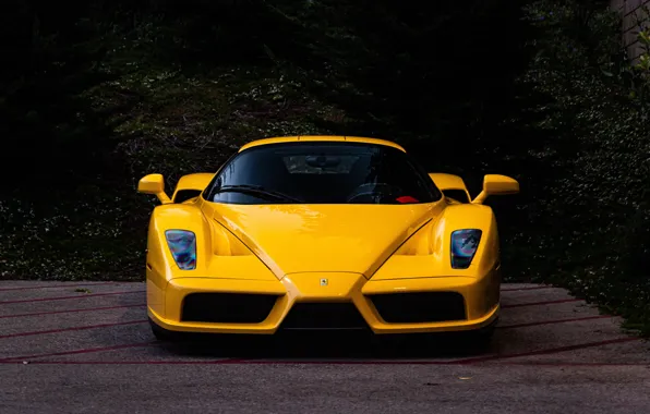Picture Ferrari, Enzo, Yellow