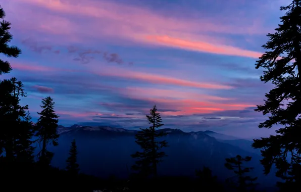 Picture the sky, clouds, trees, sunset, mountains, clouds, nature, USA, twilight, Sequoia national park