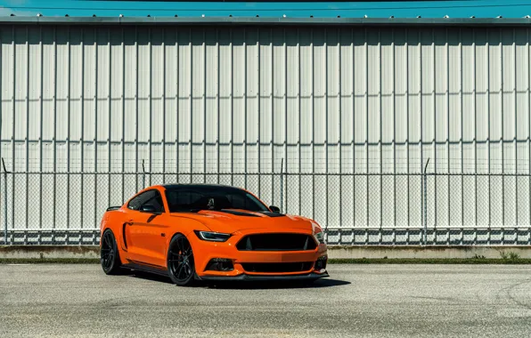 Picture Mustang, Ford, Orange