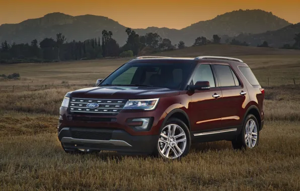 Picture Ford, SUV, Explorer, 2016, in the meadow