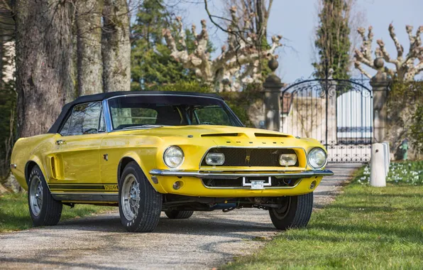Picture Mustang, Ford, Shelby, Ford Mustang, Front, Yellow, Convertible, GT500 KR