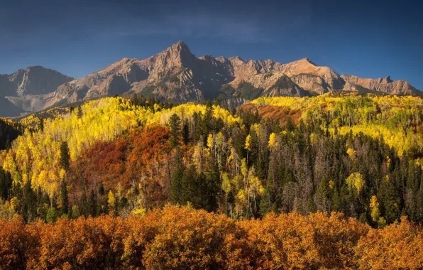 Picture nature, Autumn, Colorado