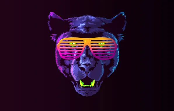 Picture Color, Minimalism, Music, Cat, Retro, Glasses, Panther, Background, Face, 80s, Neon, James White, 80's, Synth, …