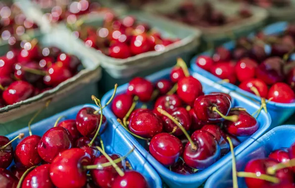 Picture cherry, berries, harvest, red, a lot, cherry, containers, box, bokeh, trays