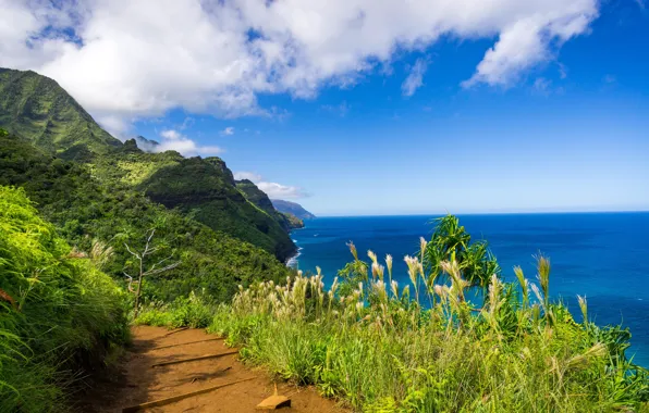 Picture mountains, coast, path, Hawaii, Kauai, Hawaii, The Na Pali Coast