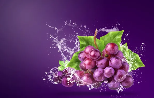 Picture water, squirt, background, grapes, bunch