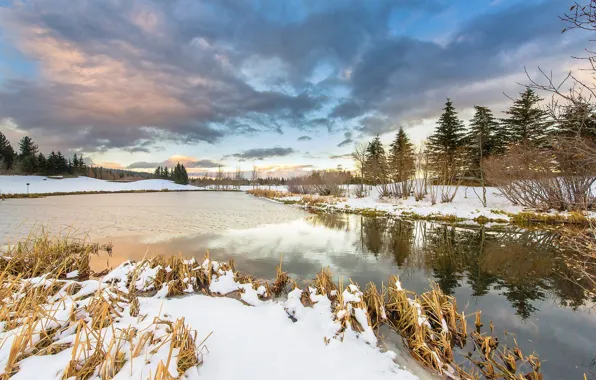 Picture winter, the sky, grass, river, photo