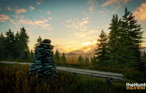 Picture stones, Nature, The game, Forest, theHunter Call of the Wild™
