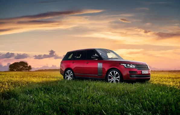 Picture field, the sky, nature, Autobiography Dynamic, Range Rover SV