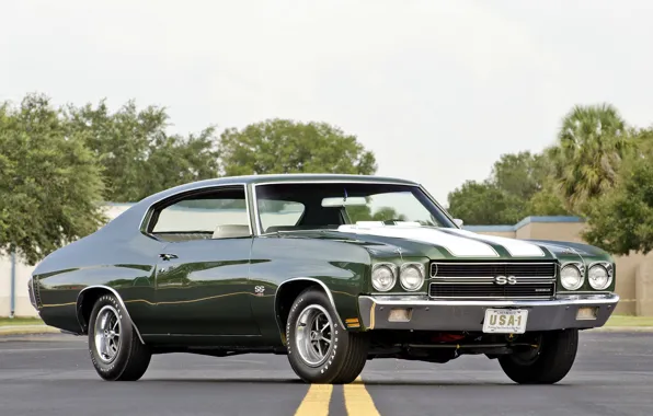 Picture Green, Road, Chevelle SS