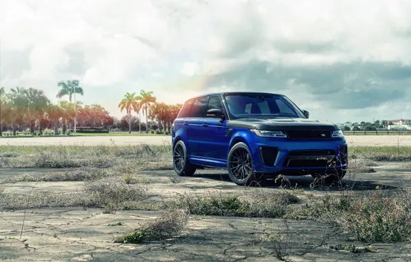 Picture Range Rover, Palm trees, Sport SVR