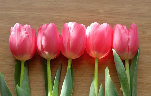 Picture flowers, background, Board, bouquet, spring, tulips, pink, buds, composition
