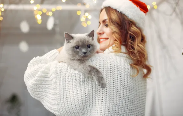 Picture cat, girl, smile, Christmas, New year