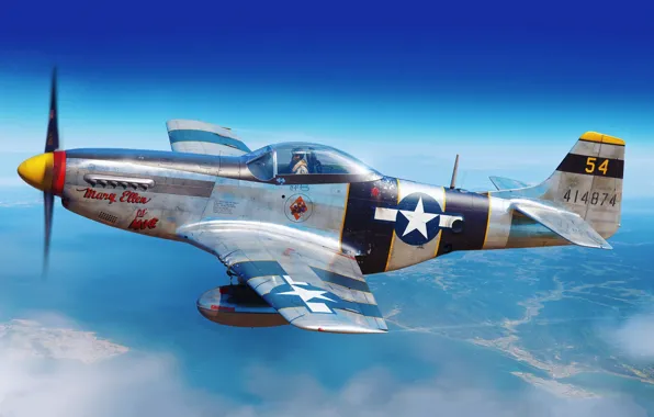Picture fighter, USA, US Airforce, Piotr Forkasiewicz, RF-51D, North American F-6D-15 Mustang