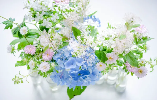 Picture freshness, bouquet, hydrangea