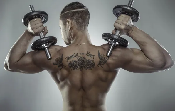 Picture pose, back, tattoo, male, dumbbells