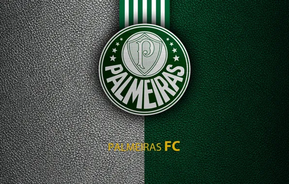 Picture wallpaper, sport, logo, football, Brazilian Serie A, Palm trees