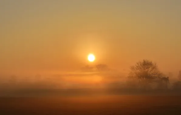 Picture field, sunset, fog