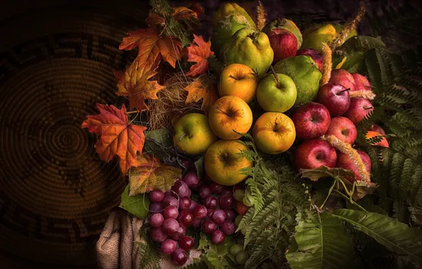 Picture autumn, leaves, the dark background, apples, yellow, harvest, grapes, red, fruit, still life, a lot, …