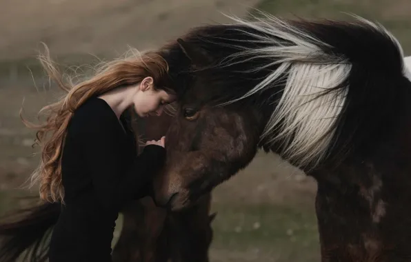 Picture girl, horse, Alessandra Barilla