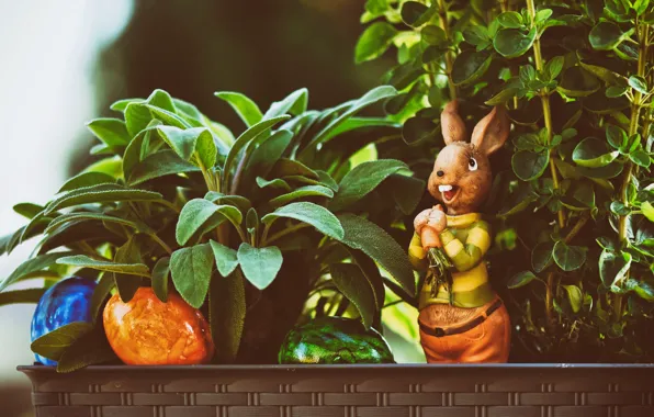 Picture greens, leaves, holiday, toy, eggs, plants, spring, carrot, rabbit, Easter, container, Bunny, figure, painted, eggs, …