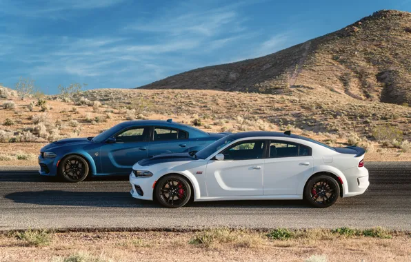 Picture Road, Wheel, Dodge, Drives, Charger, Hellcat, SRT, 2020, Dodge Charger SRT, Hellcat widebody