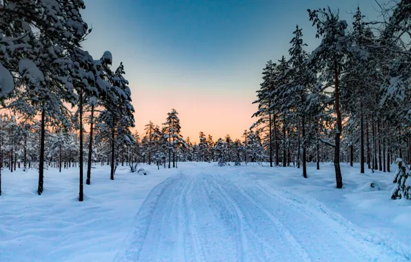 Picture winter, road, forest, snow, trees, sunset, Norway
