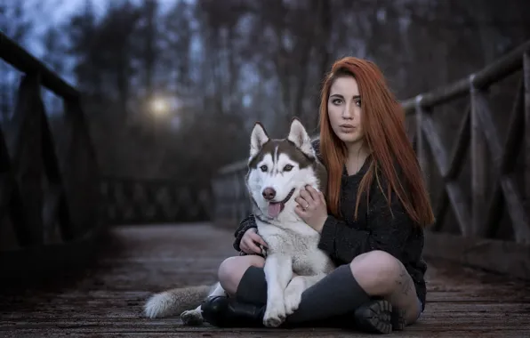 Picture girl, bridge, dog