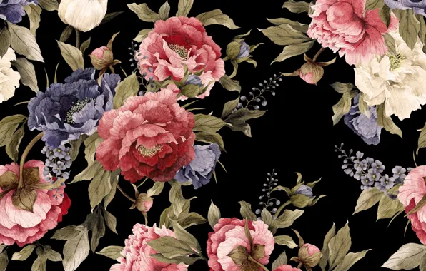Picture flowers, canvas, figure, texture, fabric, black background, peonies, textiles, floral pattern