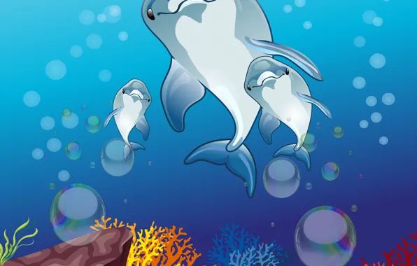 Picture dolphins, underwater world, vector graphics